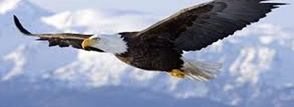 INCREDIBLE: Indian Healer Demonstrates Ancient Techniques