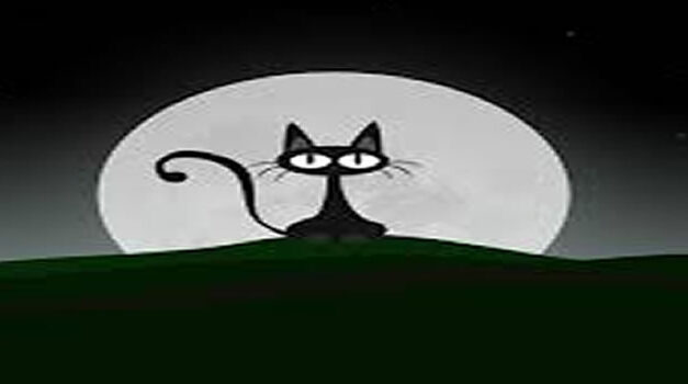 Kat wilde alleen tegen beloning onze vriend zijn