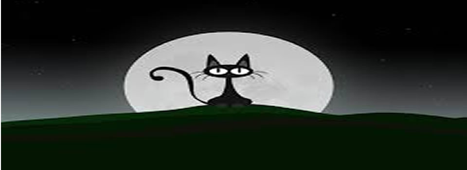 Kat wilde alleen tegen beloning onze vriend zijn