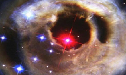 Wakker Worden Uit De Droom, Marco van Delft