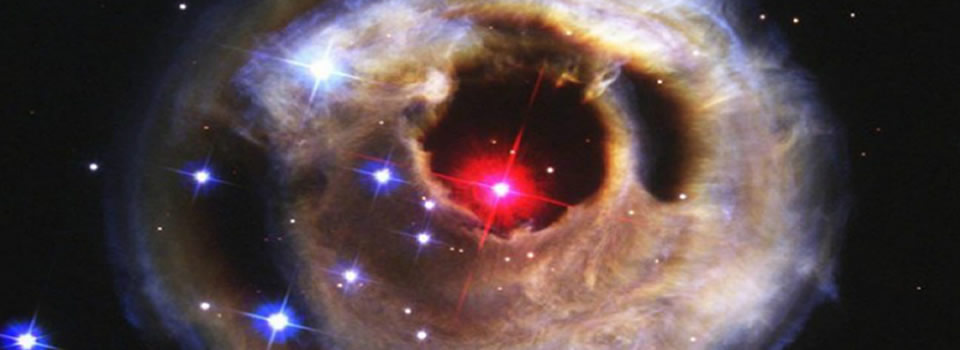 Wakker Worden Uit De Droom, Marco van Delft