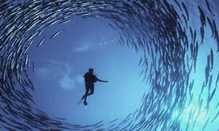 Elon Musk: The mind behind Tesla, SpaceX, SolarCity …