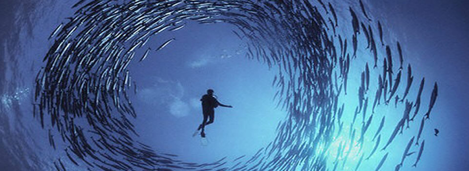 Elon Musk: The mind behind Tesla, SpaceX, SolarCity …