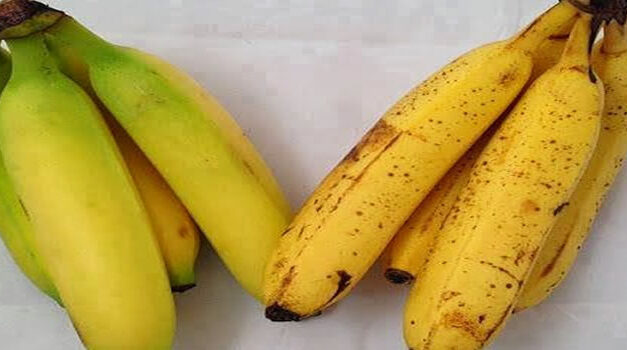 You’ll Never Look At A Banana The Same Way Again