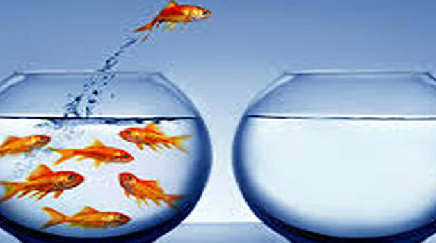 How to talk to your friends and family without sounding crazy