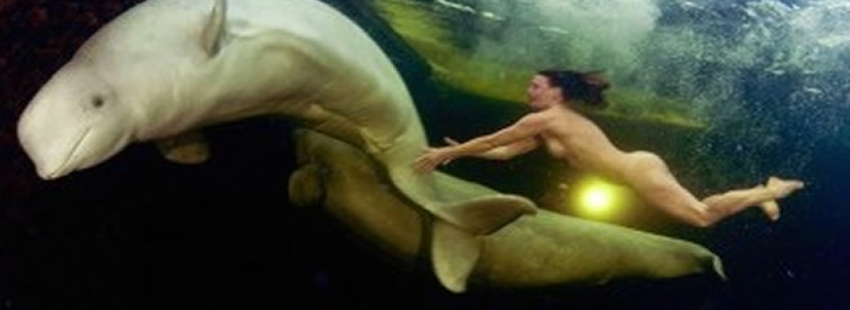 Living from light | Earth Matters