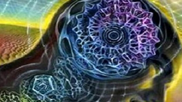 Na een beroerte kwam Jill Bolte Taylor tot vele inzichten