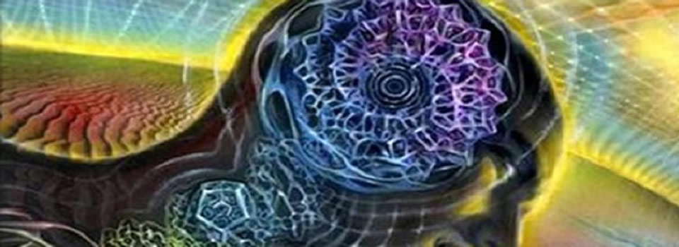 Manifestation Miracle Create Your Dream Future Today