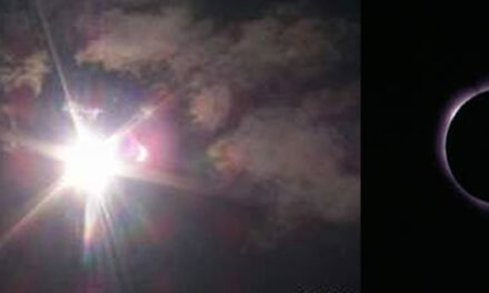 How The Elite Stay In Power