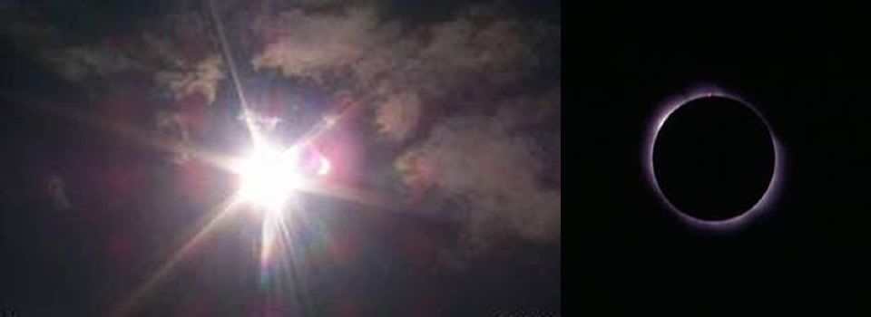 How The Elite Stay In Power