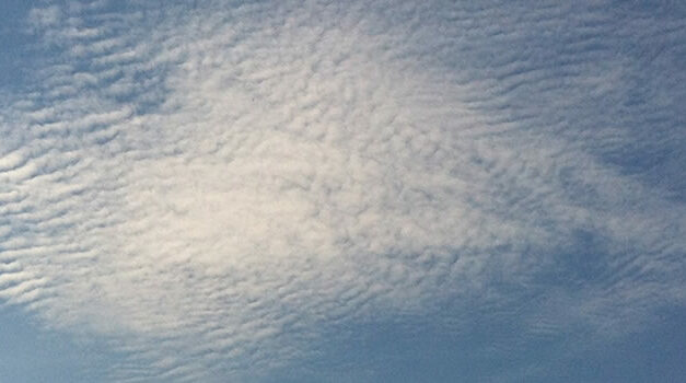 ArjunA: Contact (artikel met video)