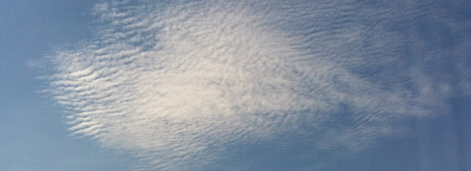 ArjunA: Contact (artikel met video)