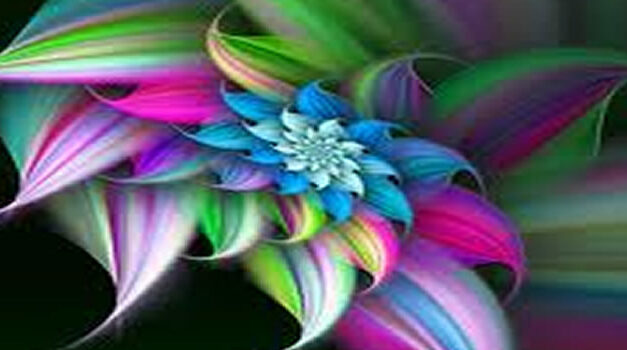 Bruce Lipton brilliant 15 minutes