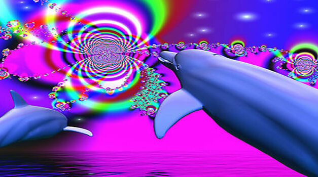 How To Create Miracles In Your Life