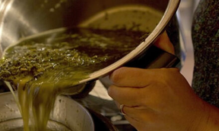 Here the Recipe to make Cannabis Oil