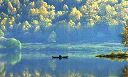 Branding a Better World