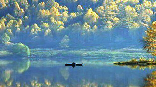 Zeven Europese landen verbieden Monsanto producten