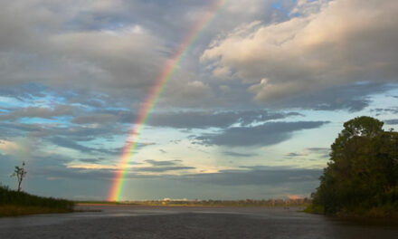 Norway rewards Brazil with $1 billion for keeping the Amazon full of trees