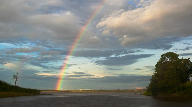 Norway rewards Brazil with $1 billion for keeping the Amazon full of trees