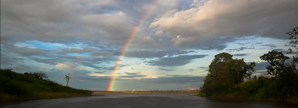 Norway rewards Brazil with $1 billion for keeping the Amazon full of trees