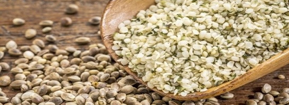 Zes gezondheidsvoordelen van hennepzaad