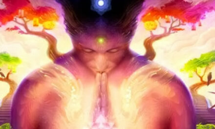 ‘De Directeur’ en de Ayahuasca Ceremonie.