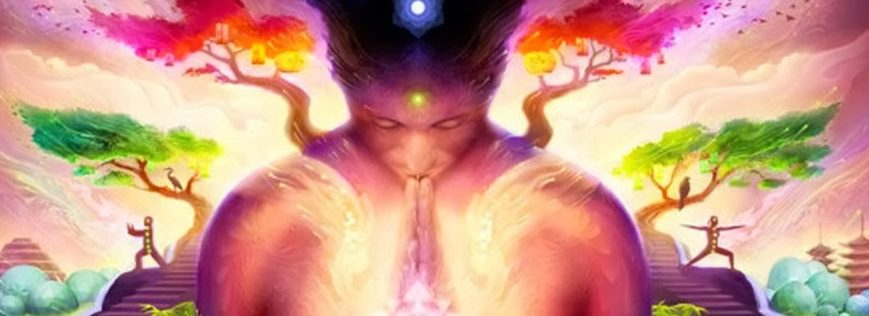 ‘De Directeur’ en de Ayahuasca Ceremonie.