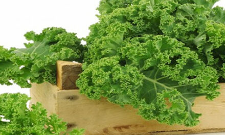 BOERENKOOL is supergroente