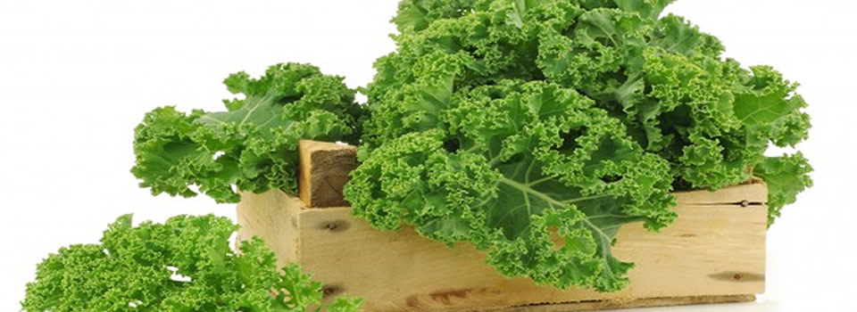 BOERENKOOL is supergroente