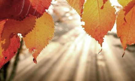 Kom uit je herfstdip!