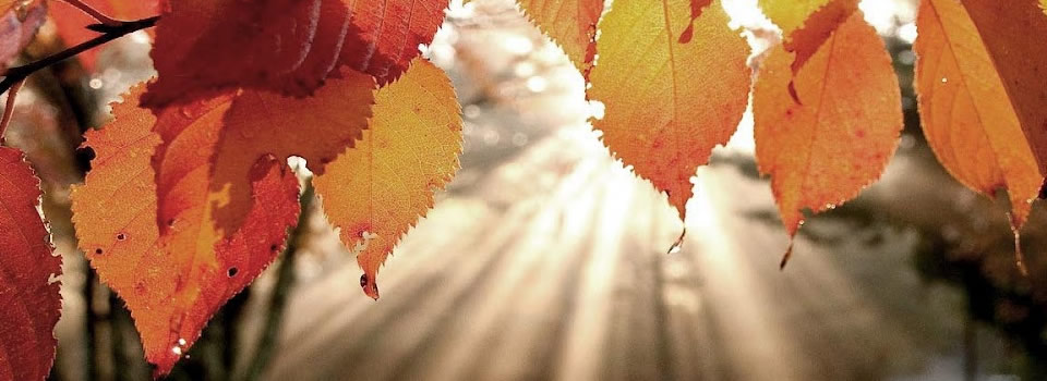 Kom uit je herfstdip!