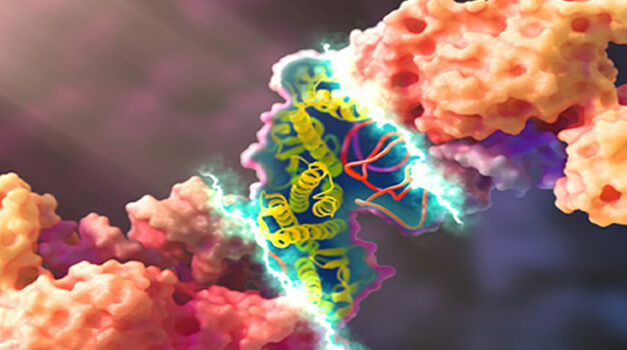 Cancer – The Forbidden Cures