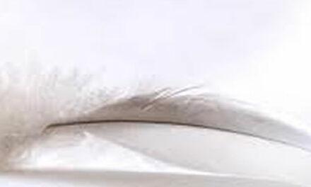 Pleidooi voor onverschilligheid