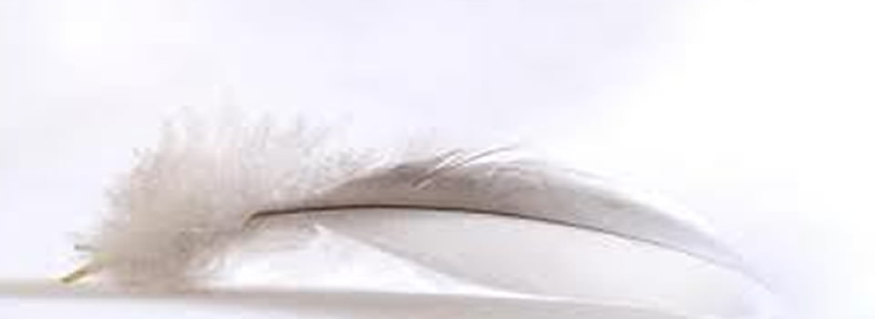 Pleidooi voor onverschilligheid