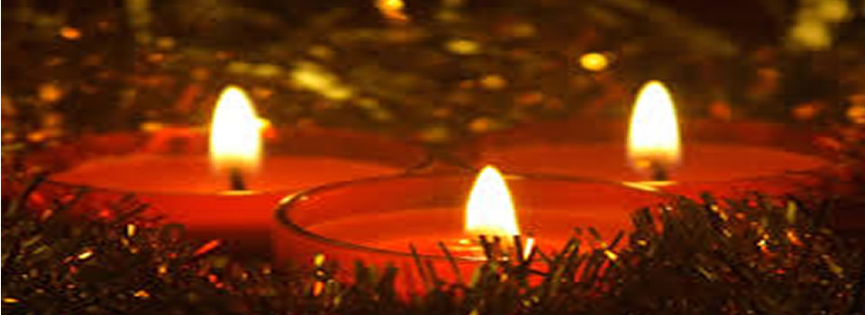 Indrukwekkende nieuwsbrief van Judith Knip