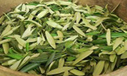 Recept uit de Bijbel, krachtige en 3500 jaar oude geneeskrachtige remedie