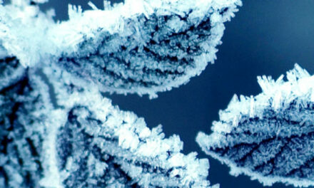 Hou jezelf lekker warm