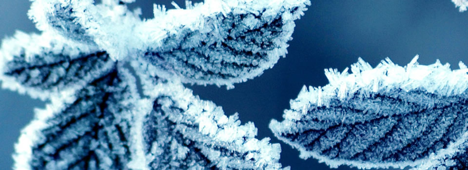 Hou jezelf lekker warm