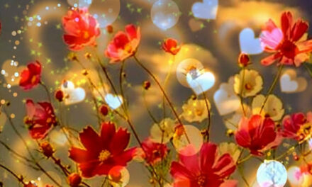 Wilhelmien Kluijtmans in gesprek met Madeleine Prins, ‘Doorzie het spel’