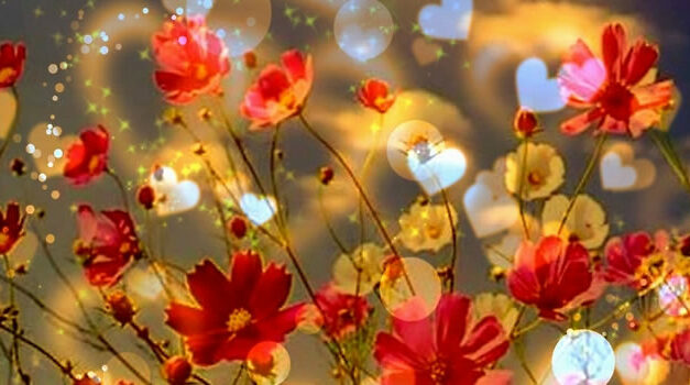 Dr. Noam Sobel: How Smells Influence Our Hormones