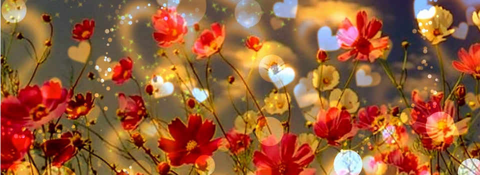 Wilhelmien Kluijtmans in gesprek met Madeleine Prins, ‘Doorzie het spel’