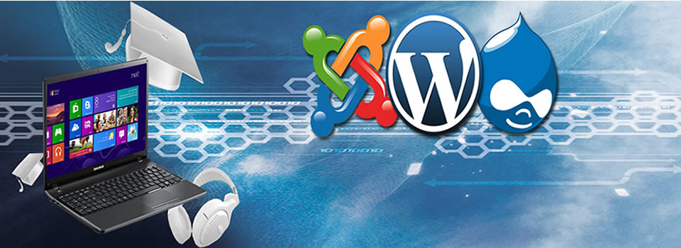 Positief bedrijf: MYPC Martien Kooy