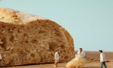 De geheimen van de voedingsindustrie: onderzoeksjournaliste doet boekje open