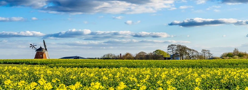 The Great Denmark To Become A 100% Organic Country