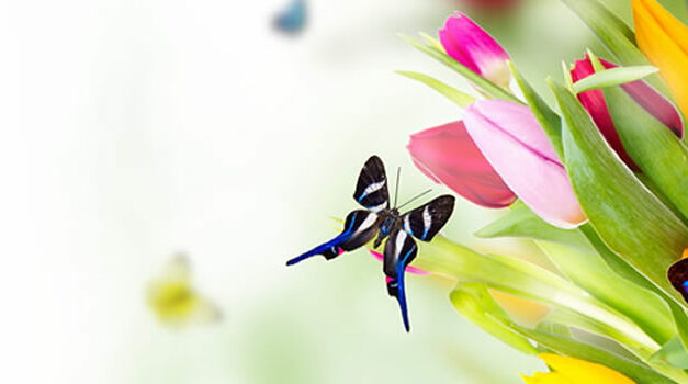 Jan Geurtz: liefdevol met jezelf om leren gaan