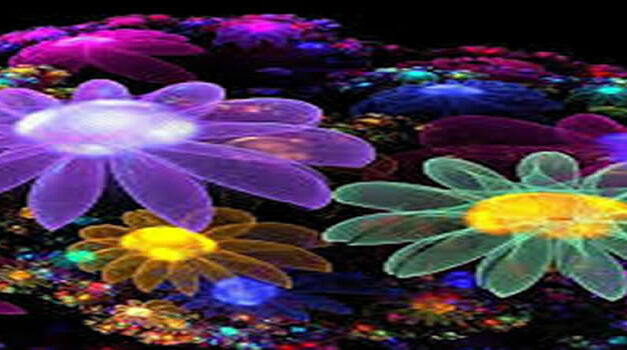 Lilian Ferru: waar sta jij met jezelf?