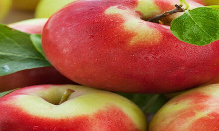 Mensen die appels eten leven langer