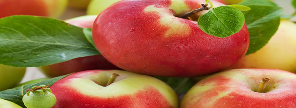 Mensen die appels eten leven langer