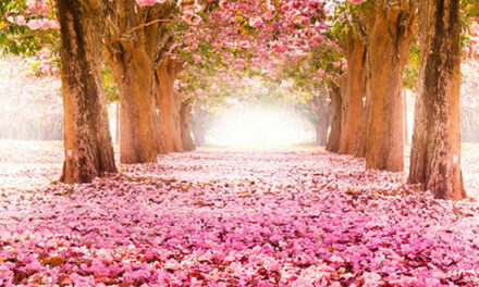 Verlengd weekend in Venezuela om energie te sparen