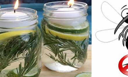 Komaf met muggen, maak een muggenbokaal!